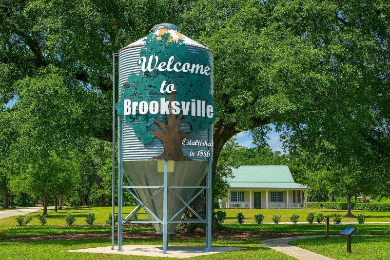 Window Service in Brooksville, FL
